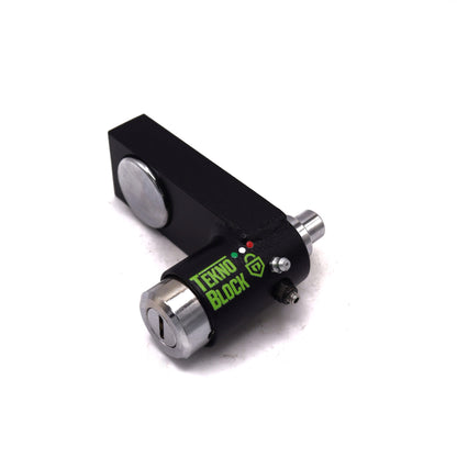 Benelli Leoncino 800