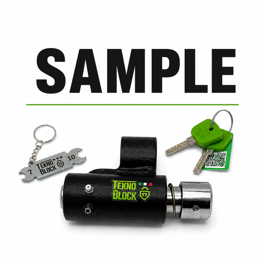 Triumph Trident 660 Triple Tribute